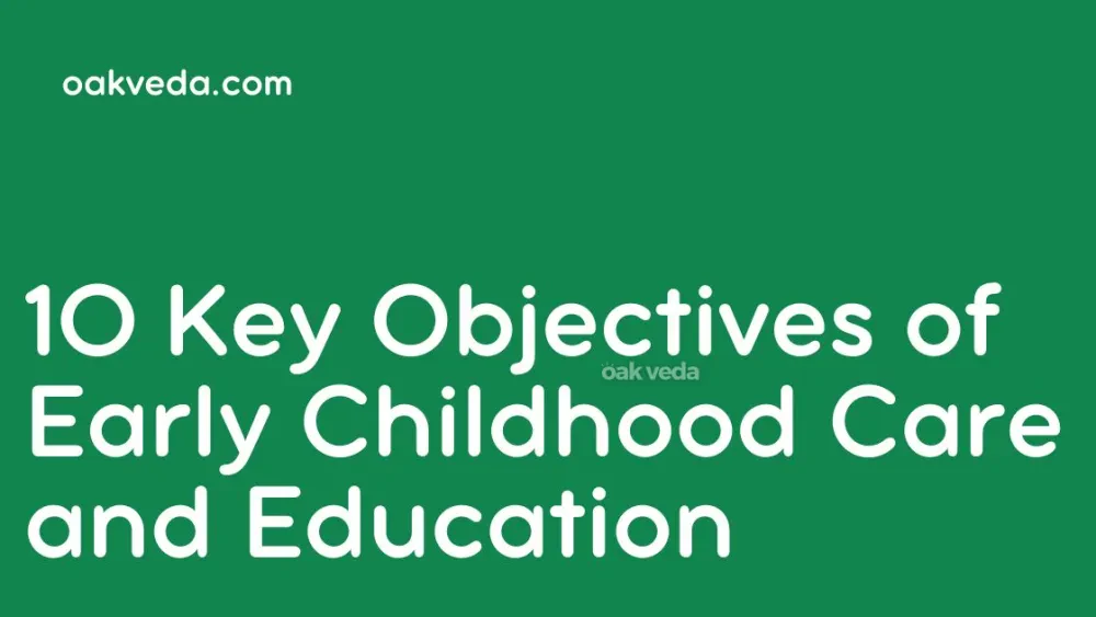 10 Key Objectives of Early Childhood Care and Education