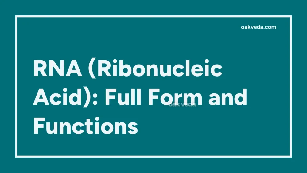 RNA (Ribonucleic Acid): Full Form and Functions