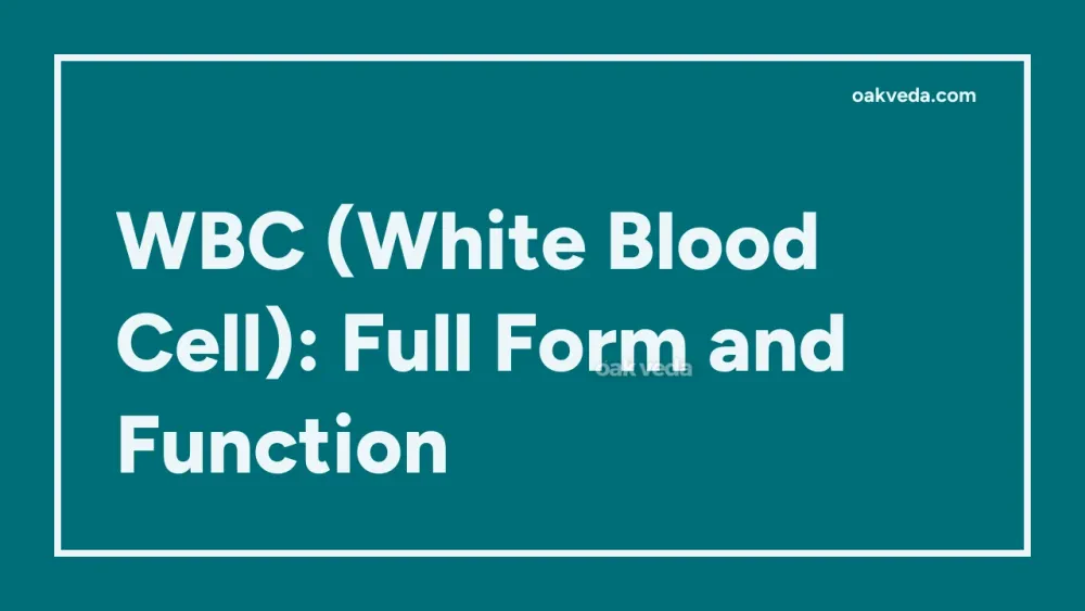 WBC (White Blood Cell): Full Form and Function