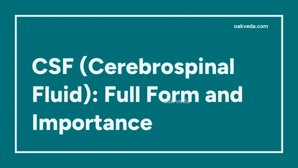 CSF (Cerebrospinal Fluid): Full Form and Importance