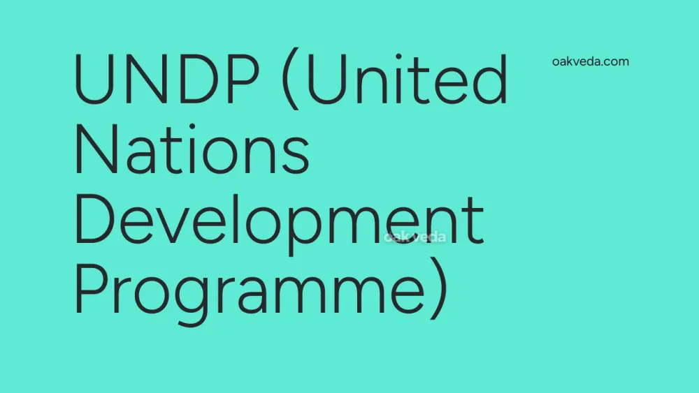 UNDP (United Nations Development Programme)