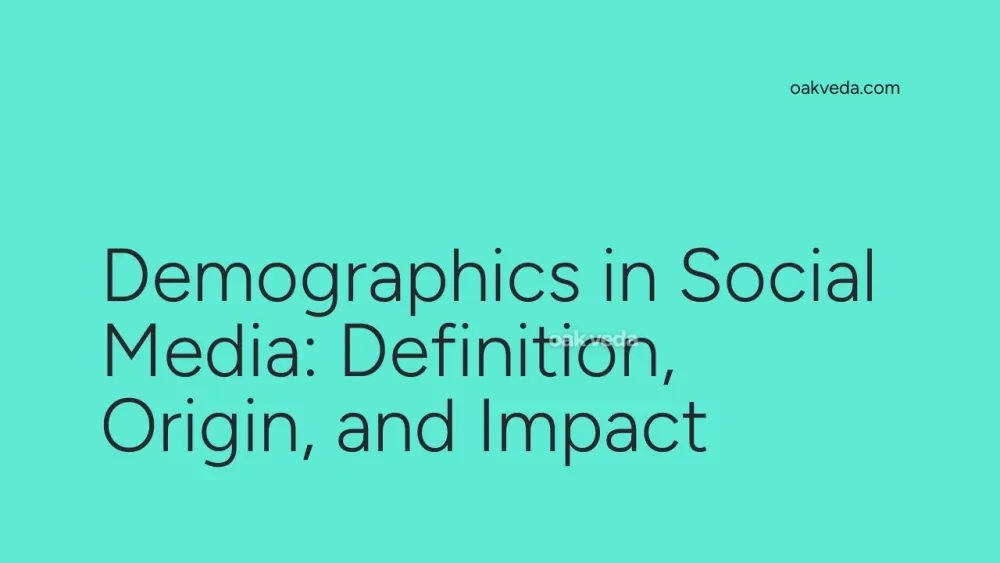 Demographics in Social Media: Definition, Origin, and Impact