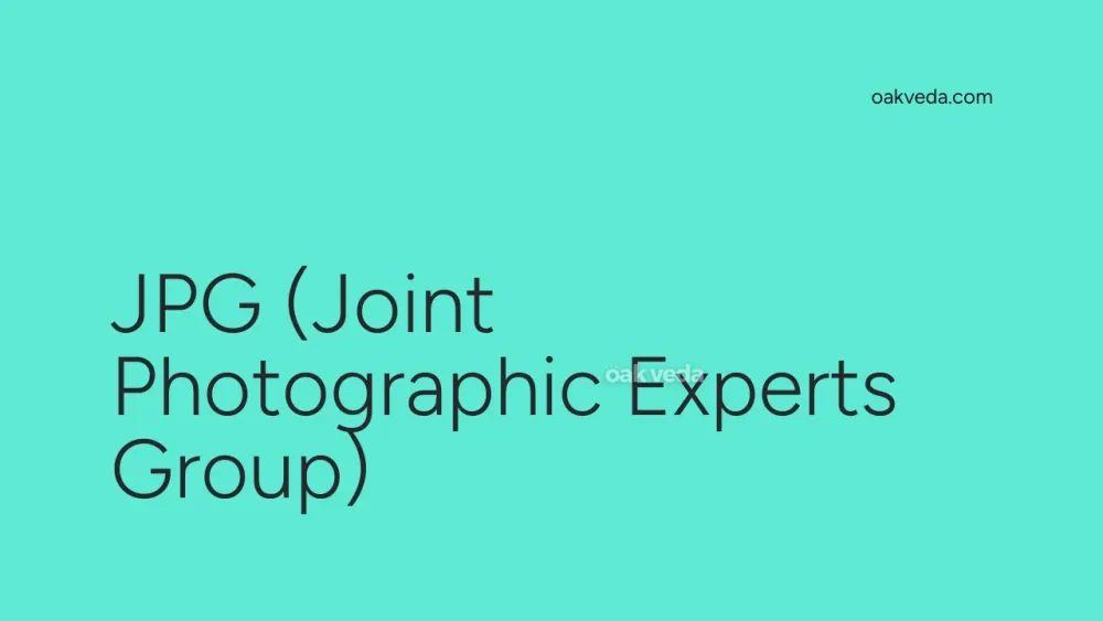 JPG (Joint Photographic Experts Group)